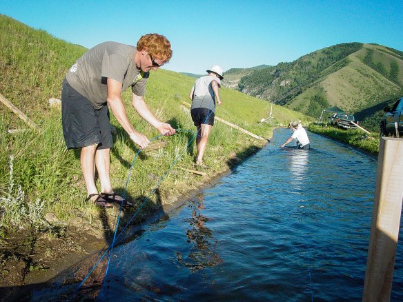 scott tyler, hydrologist