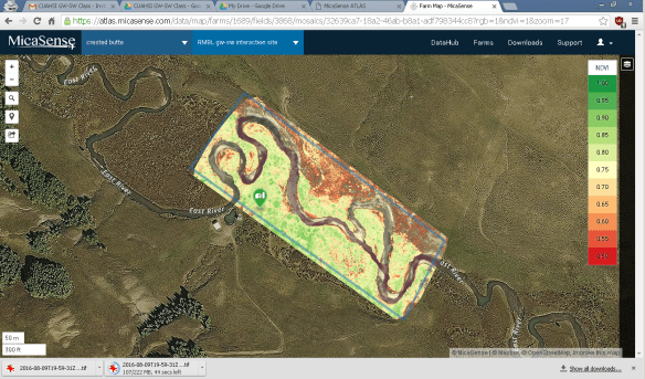 20160810_crested_butte_ndvi2